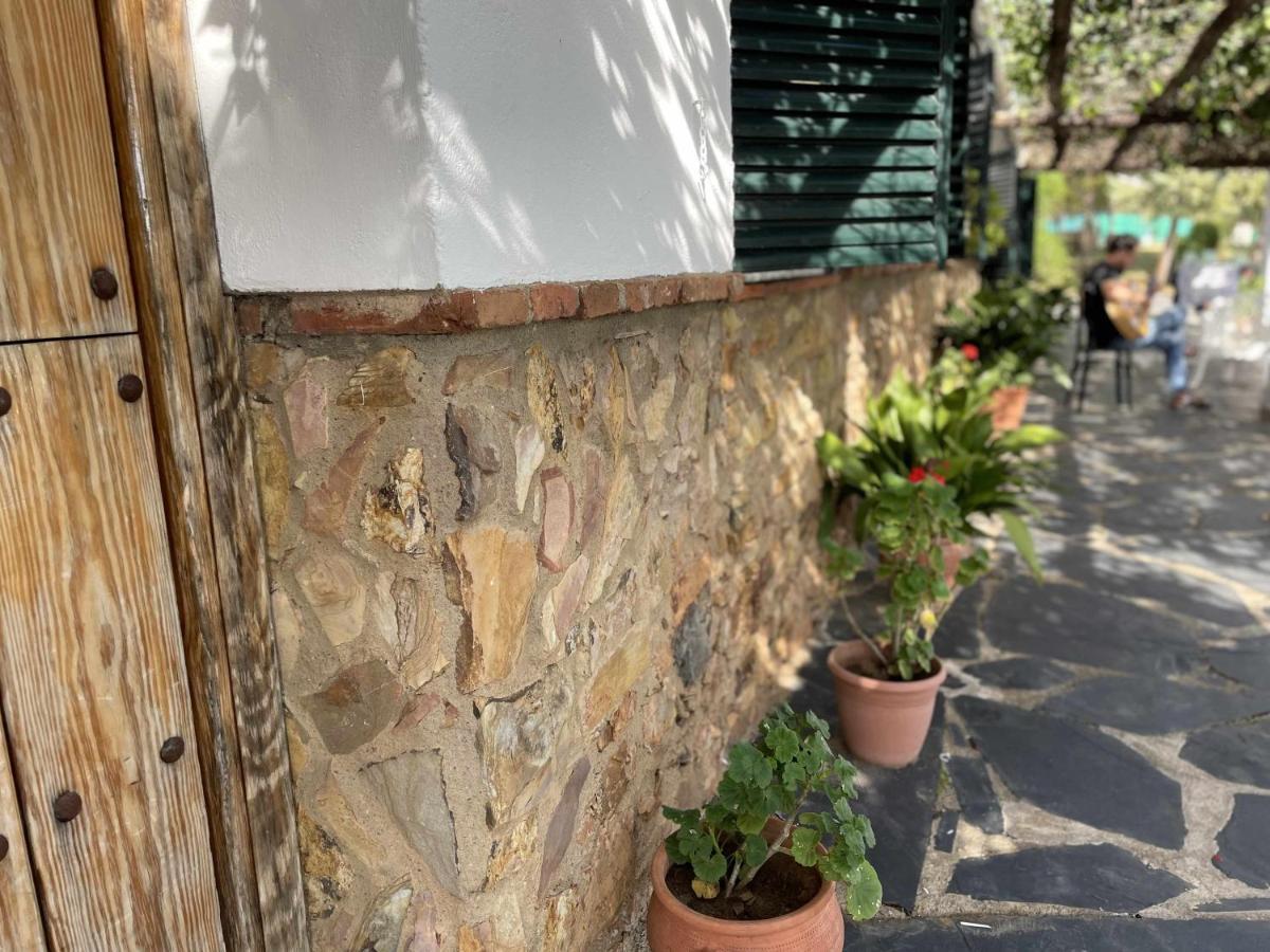 La Albergueria Complejo Rural Cañamero 外观 照片